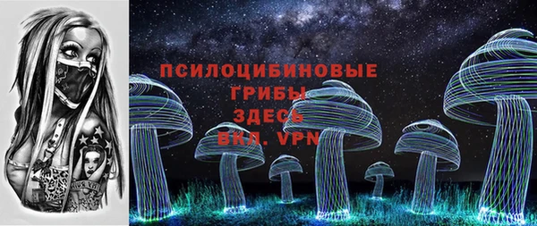 гидропоника Богданович